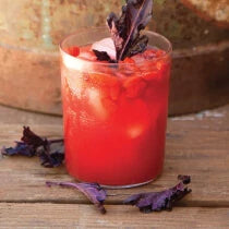 Watermelon Goji Juice Recipe
