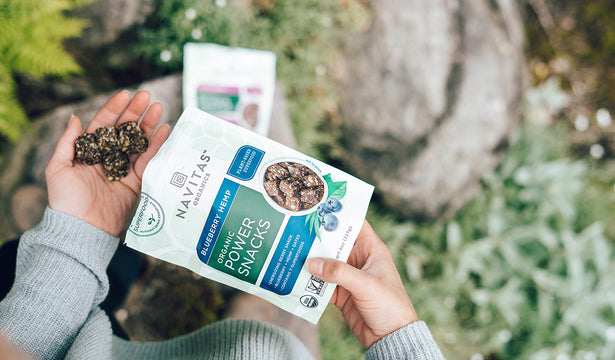 3 Healthy Snack Hacks for Your Summer Adventures