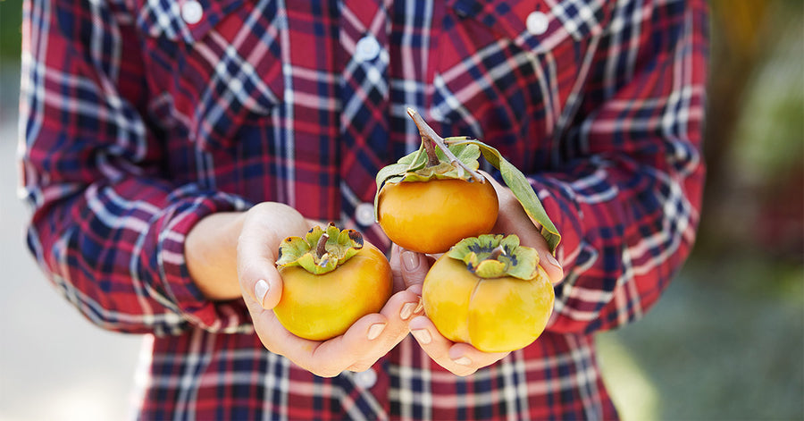 A woman in a flannel shirt holding persimmons