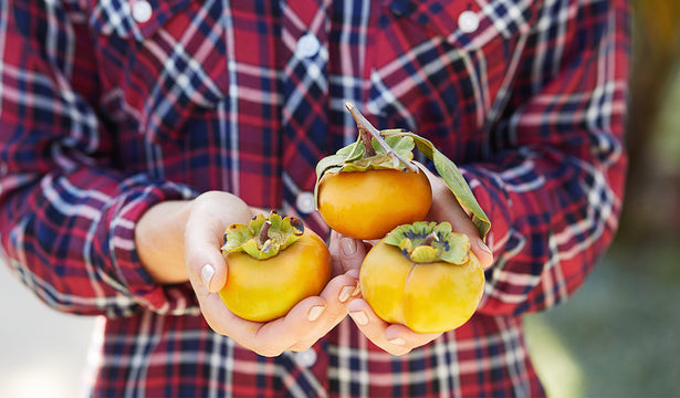 4 Ways to Make Giving a Part of Your Everyday Life