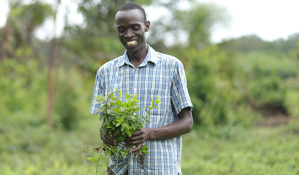 Why Social Justice Matters to Our Food System