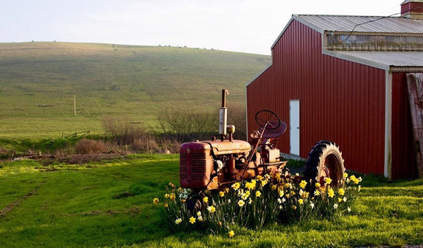 Spring is in the Air: A Perfect Time to Regenerate, Restore and Renew