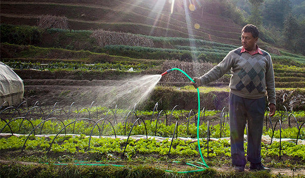 Recognizing Smallholder Farmer Achievements