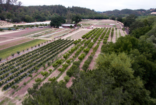Acres of farmland