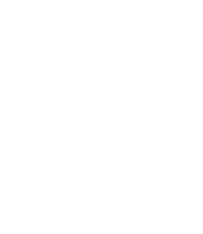 Safety and Privacy Shield Icon